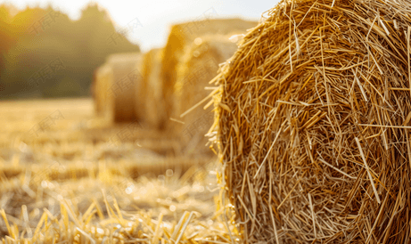 麦秸秆堆成的干草堆