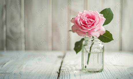 白色木质纹理背景的玻璃罐中盛开着粉红玫瑰
