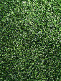 草皮人造绿草纹理全帧拍摄