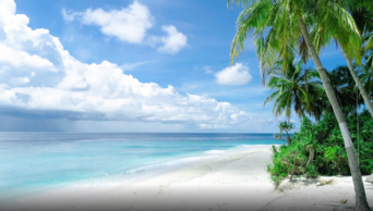 旅游景点海南海边椰子树高清视频