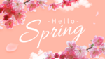 你好春天樱花枝叶花瓣粉色网页横幅