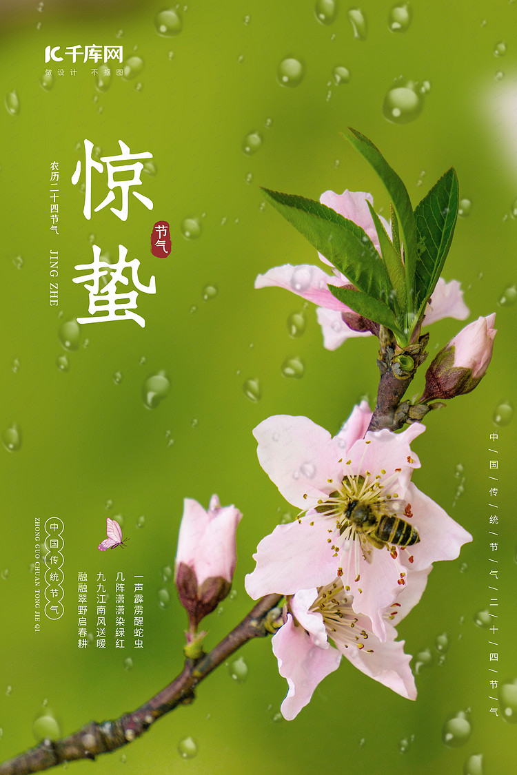 惊蛰桃花 蜜蜂 雨水青色简约风海报