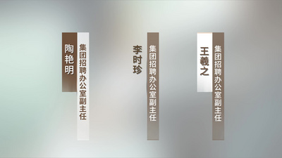 简洁人名职位人物介绍字幕条视频模板