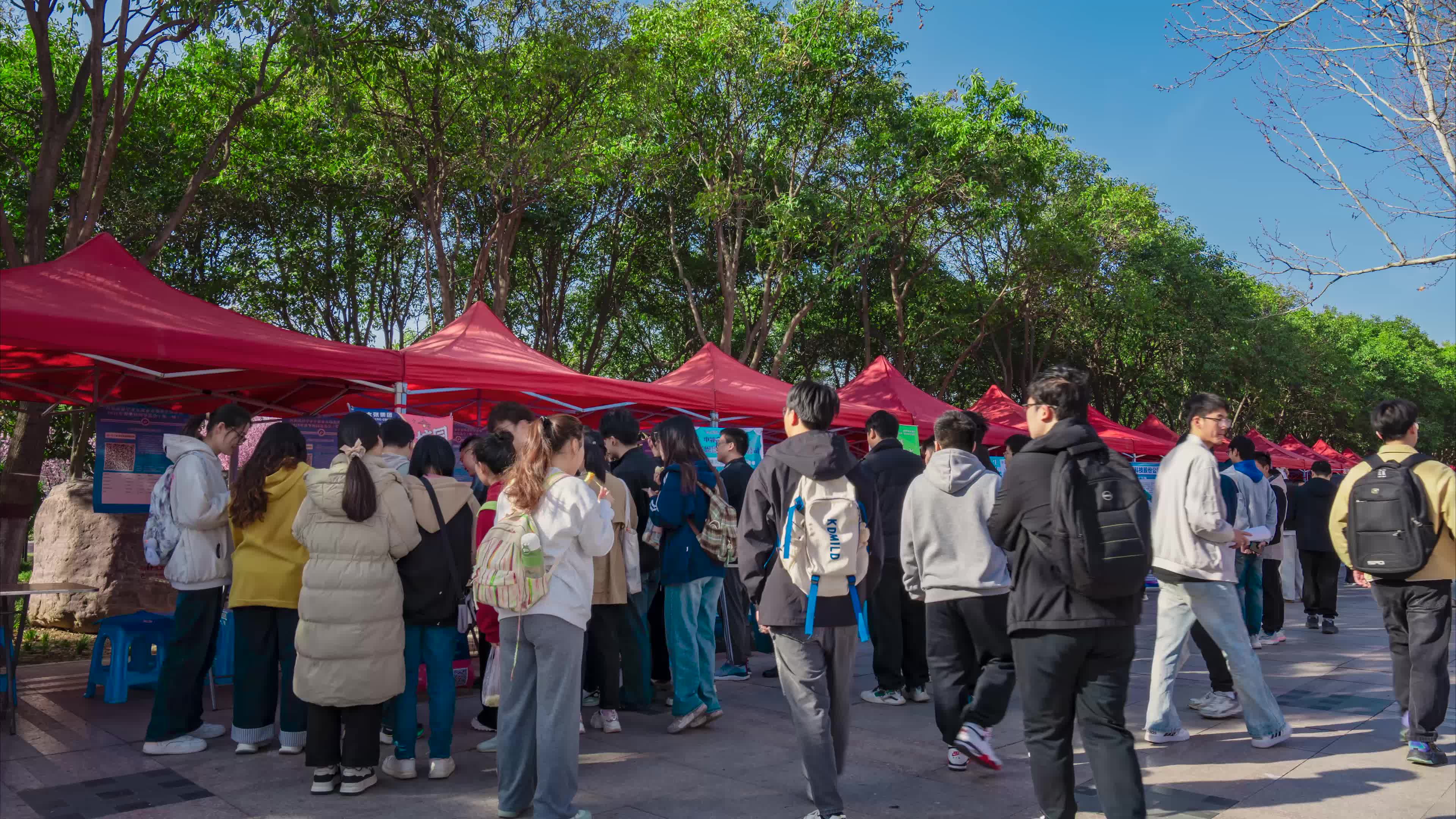 大学校园招聘会就业人流延时实拍素材视频特效素材-千库网