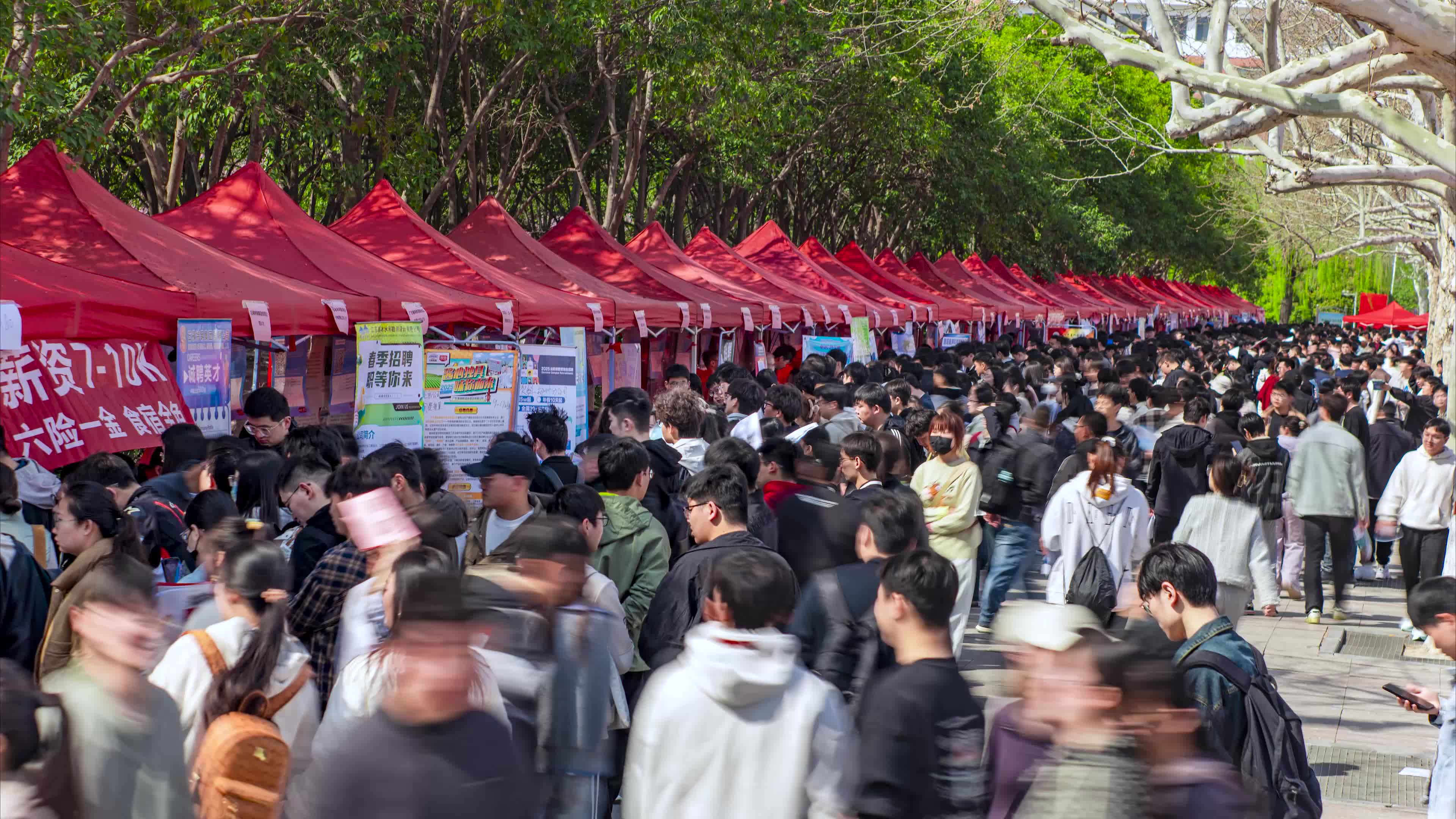 大学校园招聘会就业人流延时实拍视频素材视频特效素材-千库网