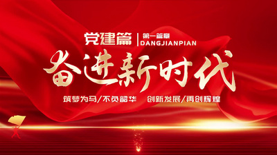 党政红绸照片墙图文发展历程展示AE模版视频素材