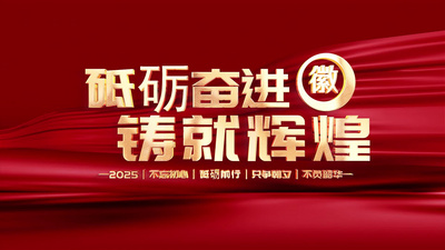 党政多图照片墙AE模版视频模板