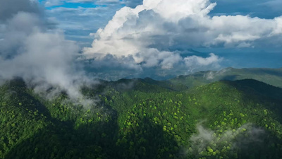 贵州山川云海森林航拍实拍视频素材