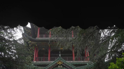 重庆鸿恩寺公园雨季实拍实拍素材
