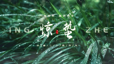 春天高清视频素材惊蛰节气实拍结合文案AE模版视频素材
