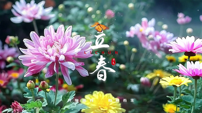 立春实拍结合文案AE模版视频模板