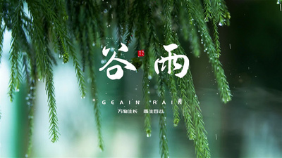 谷雨文案结合实拍AE模版视频