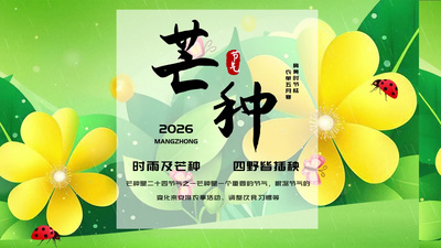 二十四节气芒种动画片头展示AE模版视频