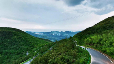 杭州王位山绿色植物山顶风景视频实拍