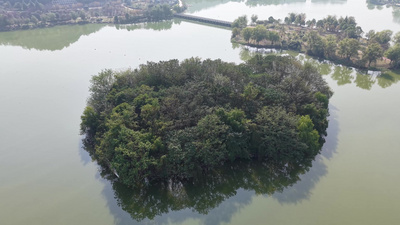 绿色湖泊城市绿化航拍长沙月湖公园风光实拍视频素材