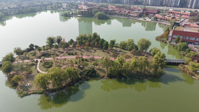 绿色湖泊城市绿化航拍长沙月湖公园风光实拍素材