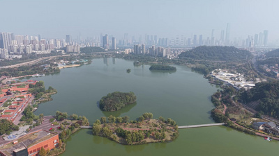 绿色湖泊城市绿化航拍长沙月湖公园风光实拍素材