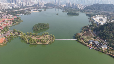 绿色湖泊城市绿化航拍长沙月湖公园风光实拍视频素材
