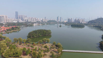 绿色湖泊城市绿化航拍长沙月湖公园风光视频实拍