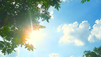 4K夏天立夏阳光蓝天树叶AI视频素材视频实拍