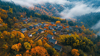 深山老林 藏的真深啊藏在深山老林的綠野仙蹤｜Trip.com 縉雲