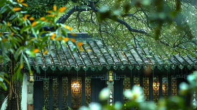 4k清明时节雨水落在屋檐素材视频