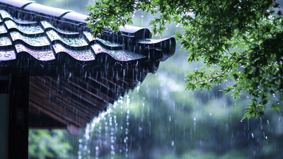 下雨实拍视频素材4K清明时节雨纷纷下雨实拍视频素材