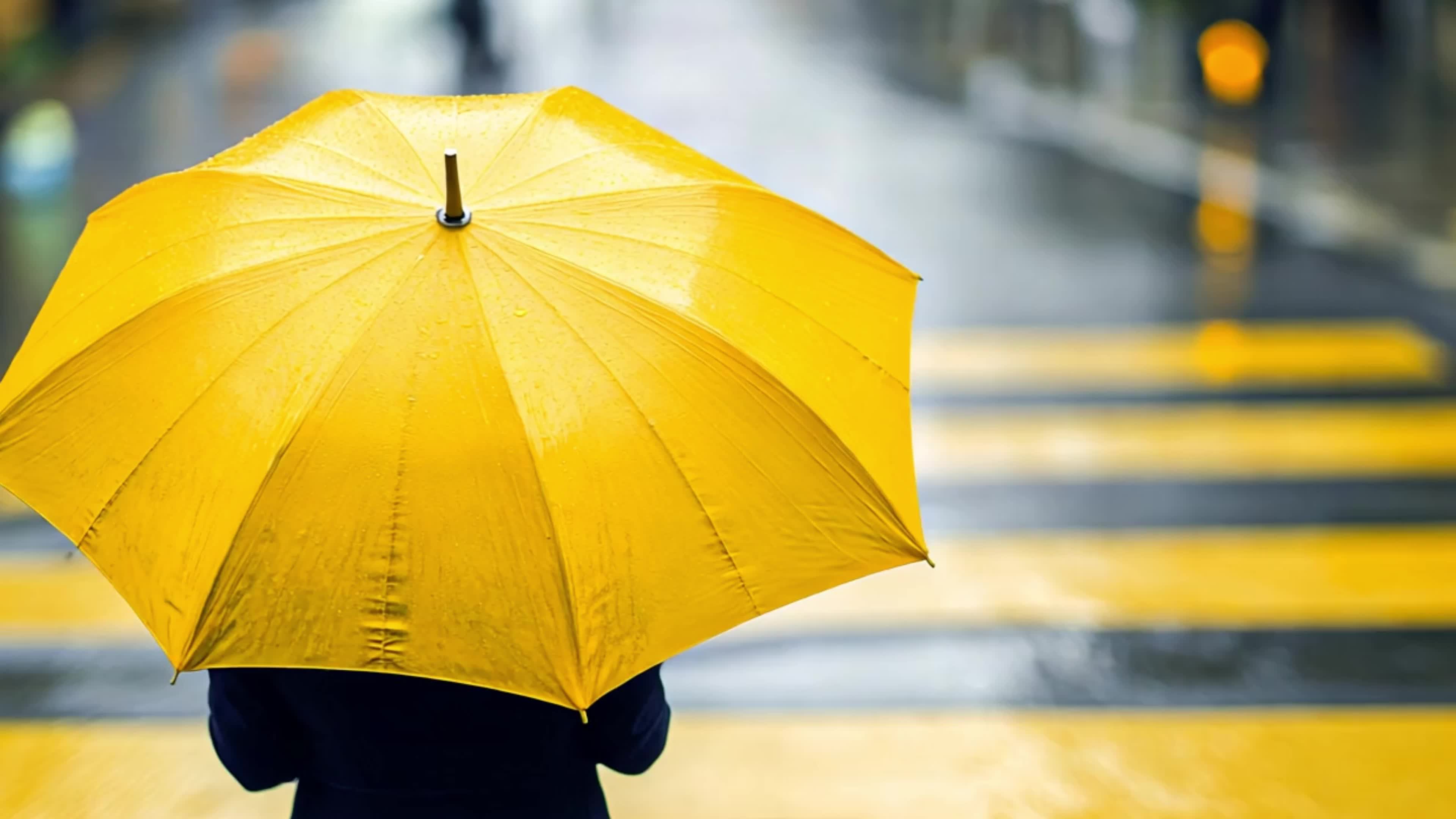4k雨天雨季行人雨伞马路实拍视频素材视频特效素材