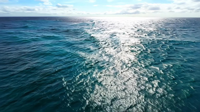海洋大海浪花海浪海鸥素材视频鸟儿实拍素材