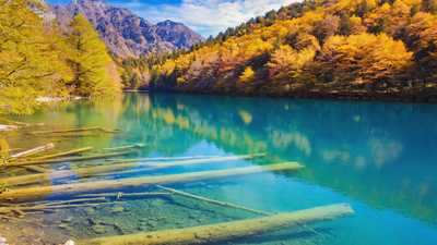 自然风景美景秋天九寨沟视频视频实拍
