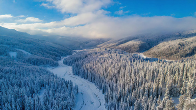 森林实拍视频素材航拍冬季森林雪景风景实拍素材