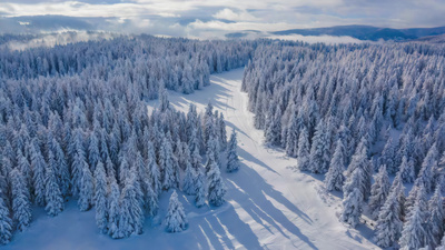 冬季森林雪景鸟瞰全景实拍视频素材