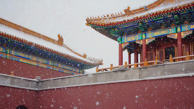 红墙空镜实拍视频素材北京故宫古建筑雪景素材实拍视频素材