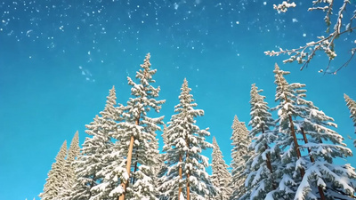 下雪雪花积雪白雪视频冬日实拍素材
