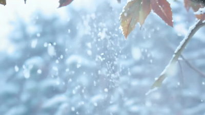 自然风景下雪冬季视频冬雪实拍视频素材