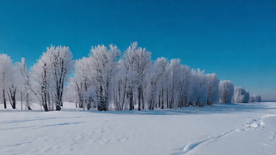雪林冬季雪景下雪白雪视频实拍素材