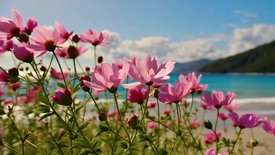 自然春日沙滩海浪浪花视频实拍素材