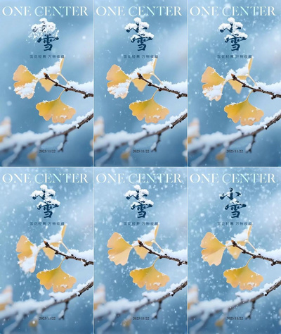 扫黑除恶免扣图实拍视频素材清新冬天小雪节气小雪动图动态海报