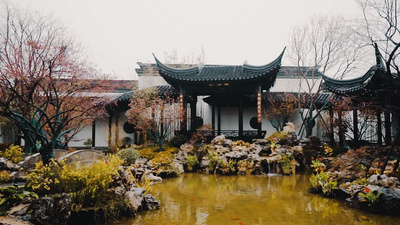 苏州园林江南烟雨园艺海棠树花锦鲤景观