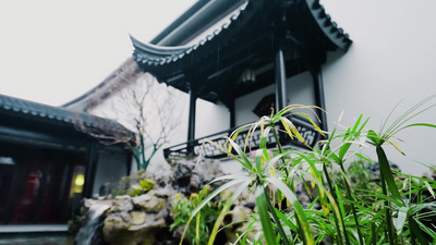 苏州春天实拍视频素材苏州园林江南烟雨园艺海棠树花锦鲤景观