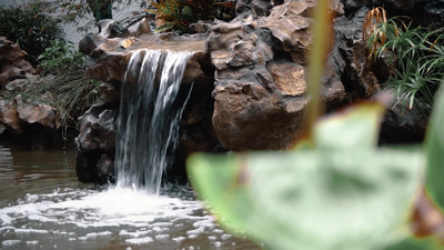 苏州园林江南烟雨园艺海棠树花锦鲤景观