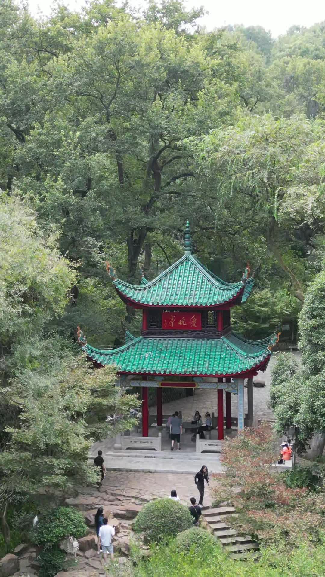 竖版航拍湖南长沙岳麓山爱晚亭视频特效素材