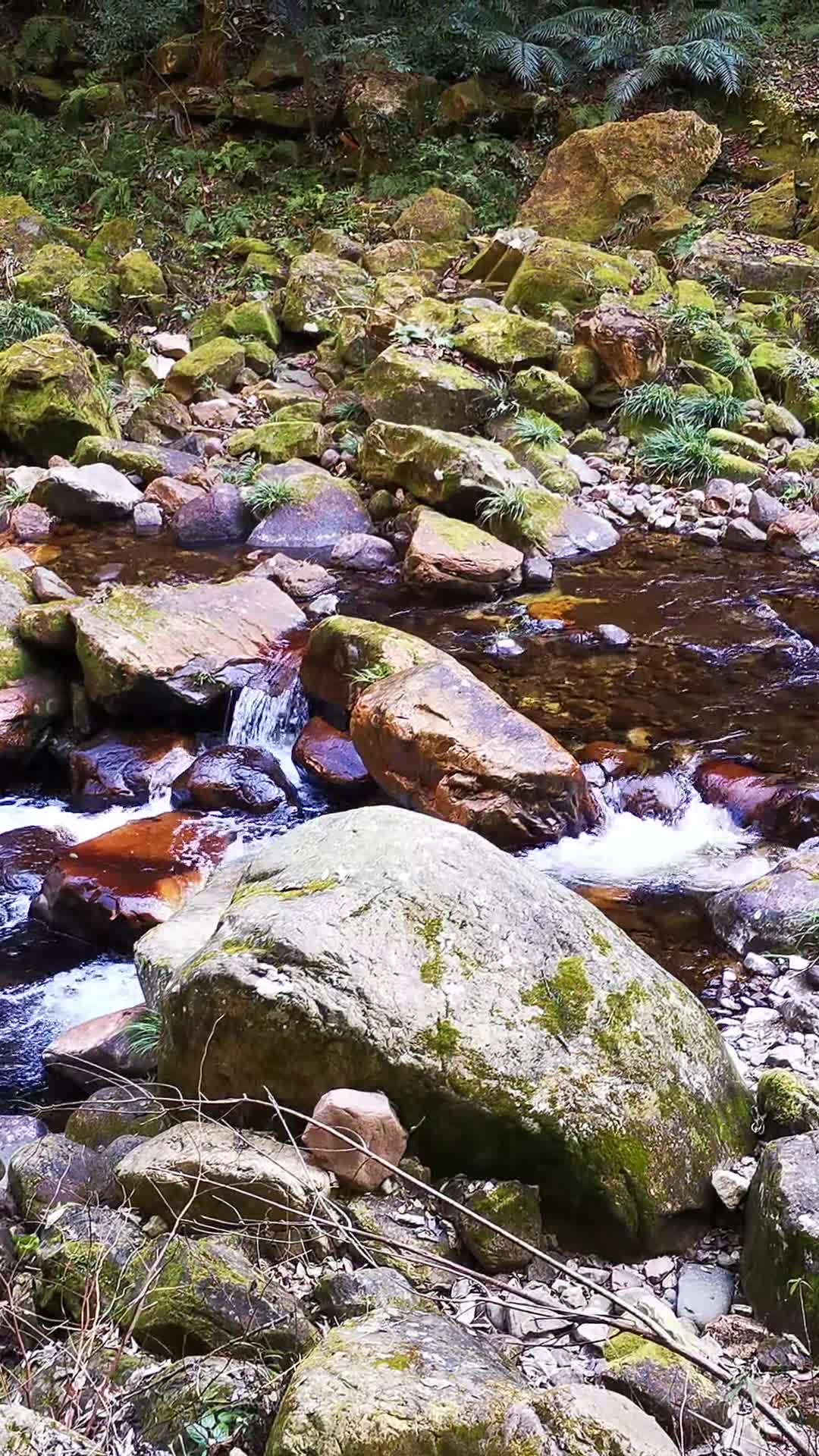 竖版航拍张家界武陵源金鞭溪流水