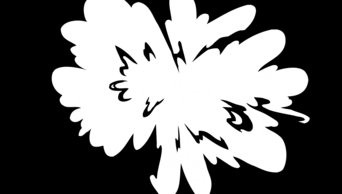 带通道免抠黑白流体效果转场视频