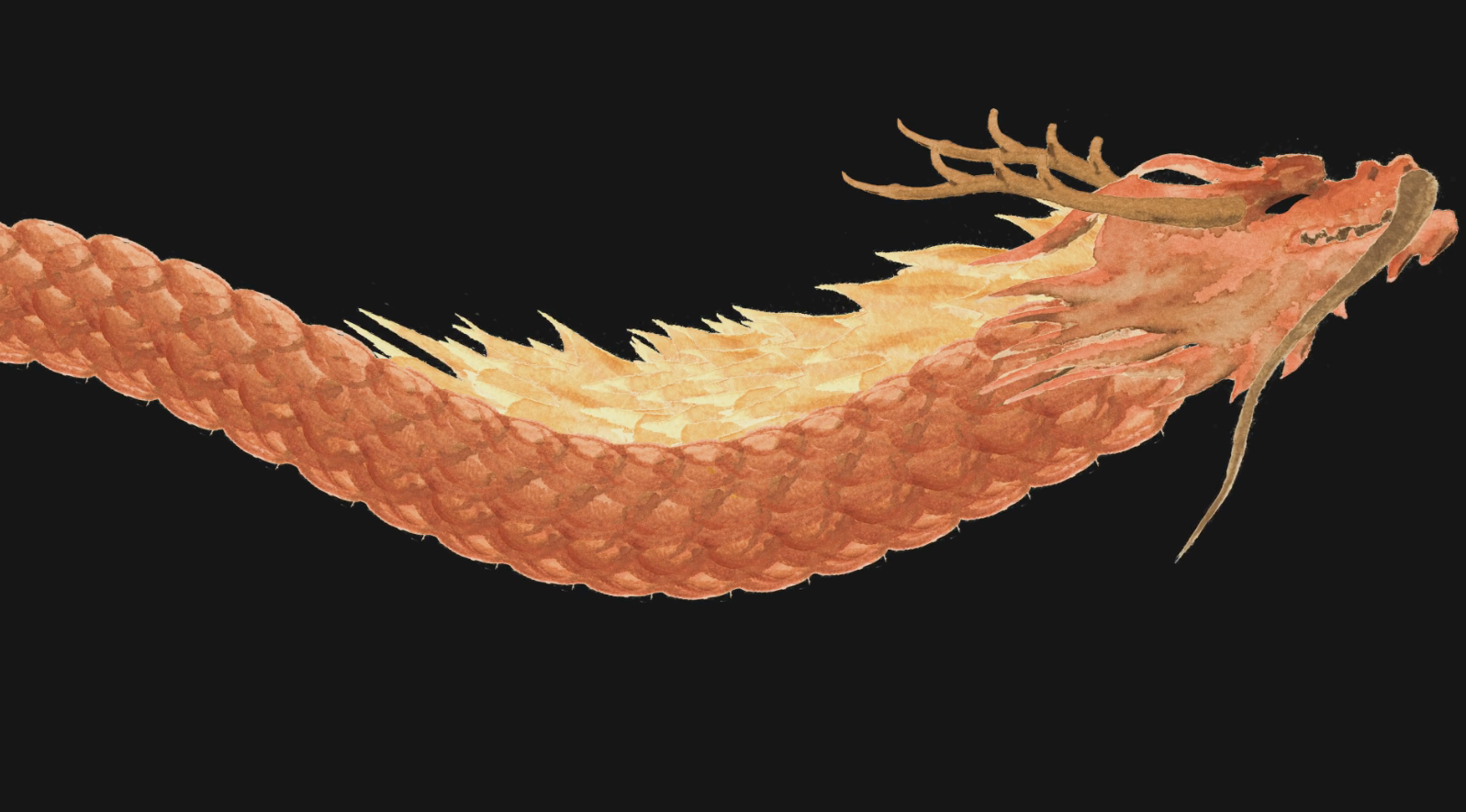 免抠后期效果龙身内容应用展示