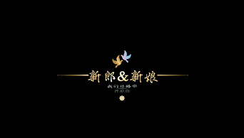 华丽金色粒子爱情鸟婚礼字幕条透明通道