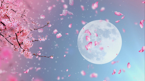 中国风唯美浪漫月亮大气粉色背景视频