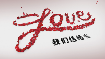 唯美花瓣婚礼玫瑰花展示片头婚庆纪念宣传