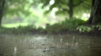 1080P实拍下雨天雨水滴落在地面慢镜头