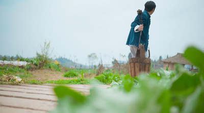 高清实拍菜地里挑水的青年农民